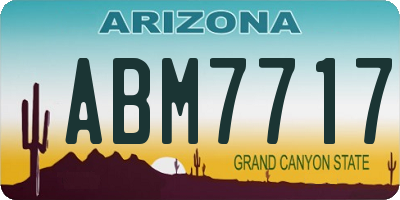AZ license plate ABM7717