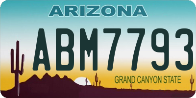 AZ license plate ABM7793