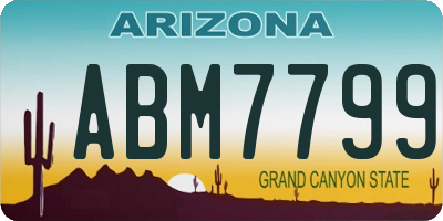 AZ license plate ABM7799