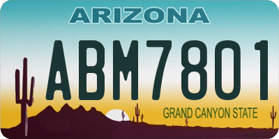 AZ license plate ABM7801