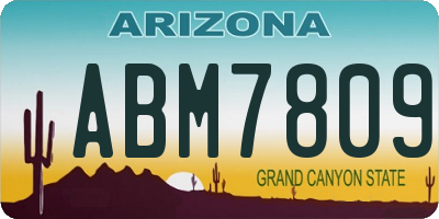 AZ license plate ABM7809