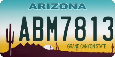 AZ license plate ABM7813