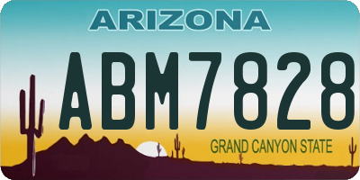 AZ license plate ABM7828