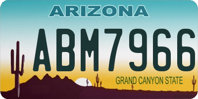AZ license plate ABM7966
