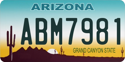 AZ license plate ABM7981