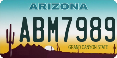AZ license plate ABM7989