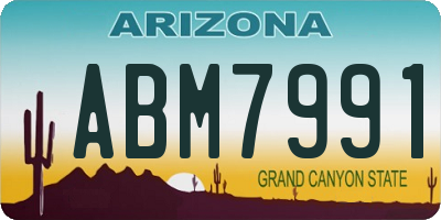 AZ license plate ABM7991