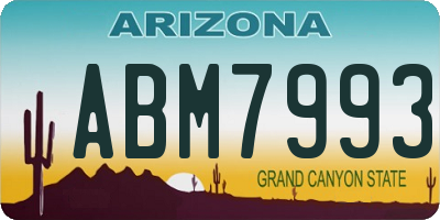 AZ license plate ABM7993