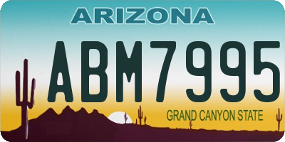 AZ license plate ABM7995