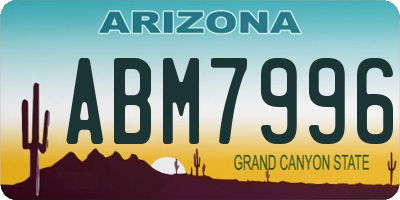 AZ license plate ABM7996
