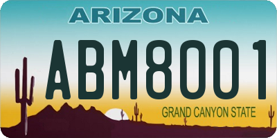 AZ license plate ABM8001
