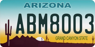 AZ license plate ABM8003