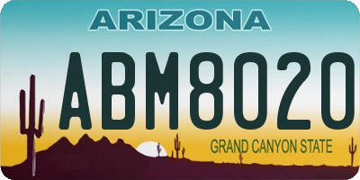 AZ license plate ABM8020