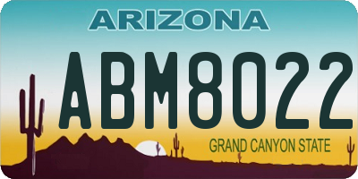 AZ license plate ABM8022