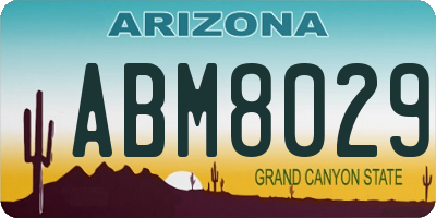 AZ license plate ABM8029