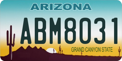 AZ license plate ABM8031