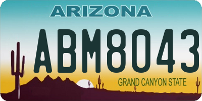 AZ license plate ABM8043