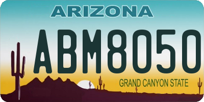 AZ license plate ABM8050
