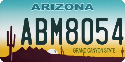 AZ license plate ABM8054