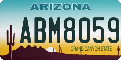 AZ license plate ABM8059