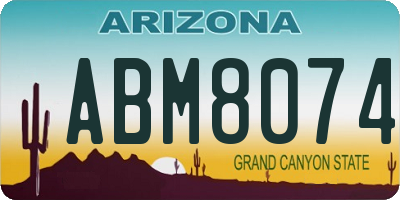 AZ license plate ABM8074