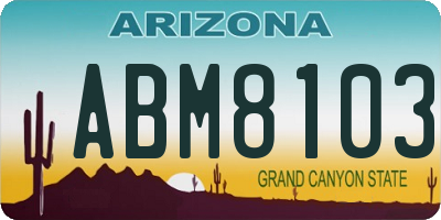 AZ license plate ABM8103