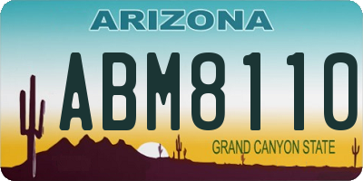 AZ license plate ABM8110