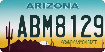 AZ license plate ABM8129