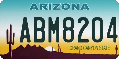 AZ license plate ABM8204