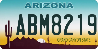 AZ license plate ABM8219