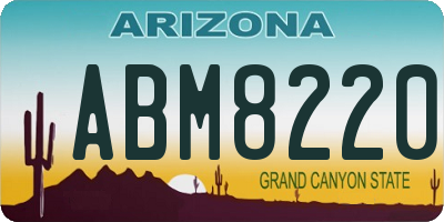 AZ license plate ABM8220