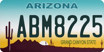 AZ license plate ABM8225