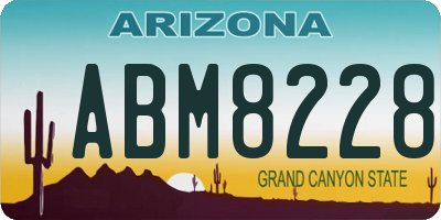 AZ license plate ABM8228
