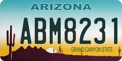 AZ license plate ABM8231