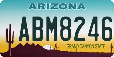 AZ license plate ABM8246