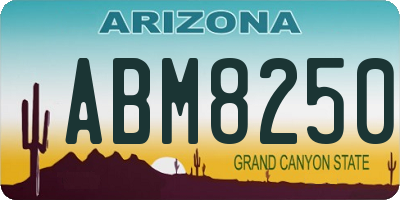AZ license plate ABM8250