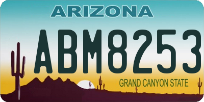 AZ license plate ABM8253