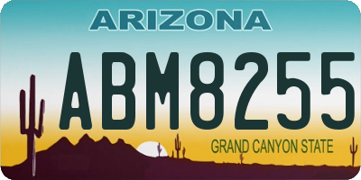 AZ license plate ABM8255
