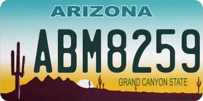 AZ license plate ABM8259