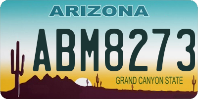 AZ license plate ABM8273