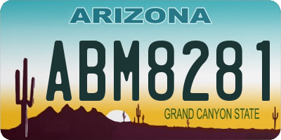 AZ license plate ABM8281