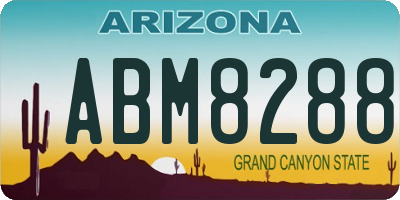 AZ license plate ABM8288