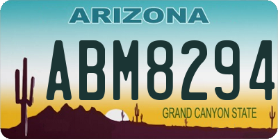 AZ license plate ABM8294