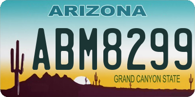 AZ license plate ABM8299