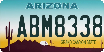 AZ license plate ABM8338