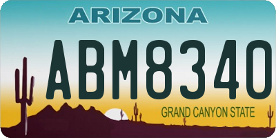 AZ license plate ABM8340