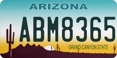 AZ license plate ABM8365