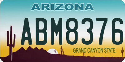 AZ license plate ABM8376