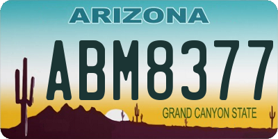 AZ license plate ABM8377