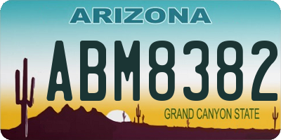 AZ license plate ABM8382
